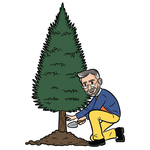 Evergreen Campaign Definition