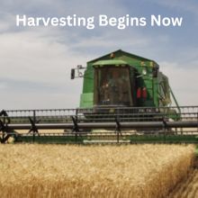 Demand Harvesting