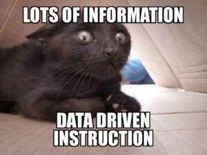 Predictive Modeling