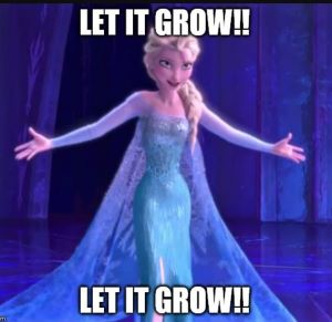 Let it grow Image 
